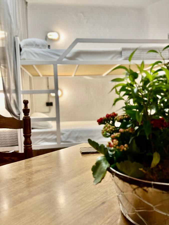 Loft Apart&hostal Hostal