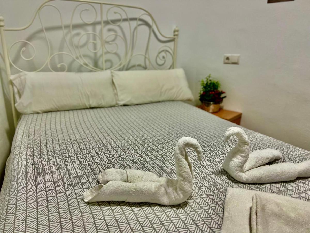 Loft Apart&hostal Hostal Lloret de Mar