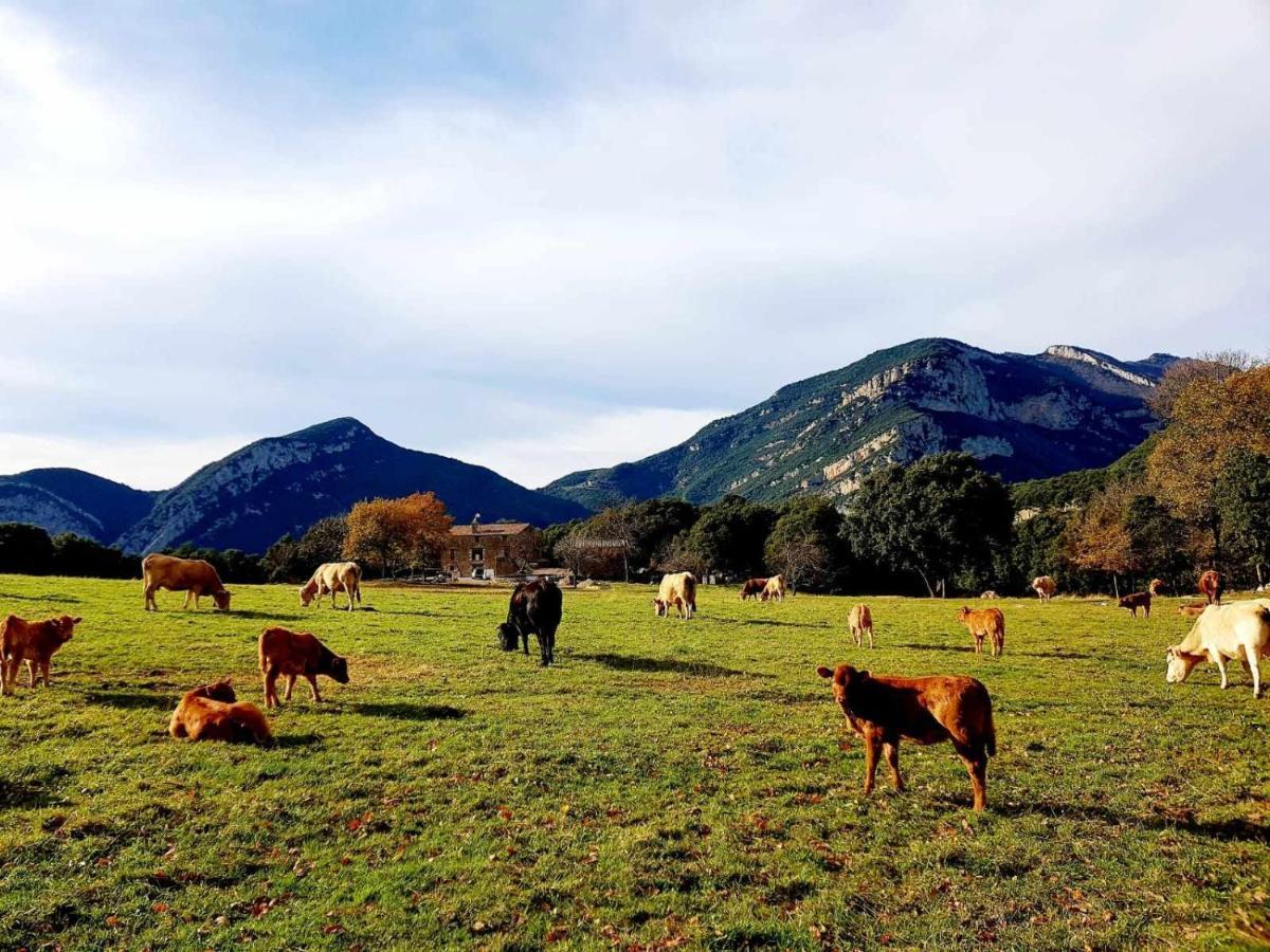 Holiday home Casa En Paraje Natural Unico 25 Pax Girona