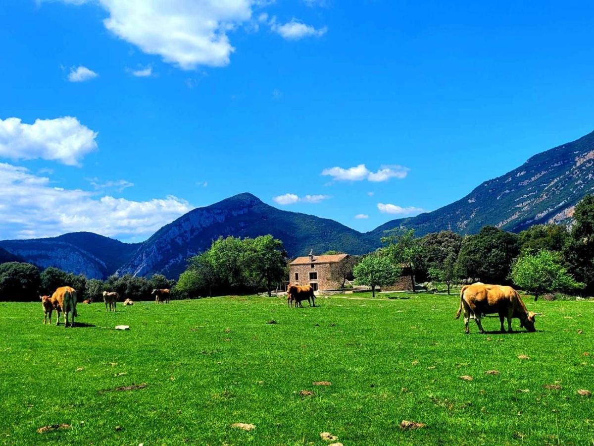 Casa En Paraje Natural Unico 25 Pax Holiday home