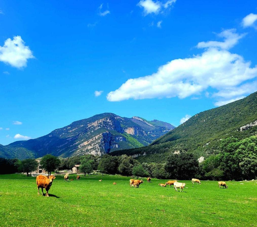 Holiday home Casa En Paraje Natural Unico 25 Pax Girona