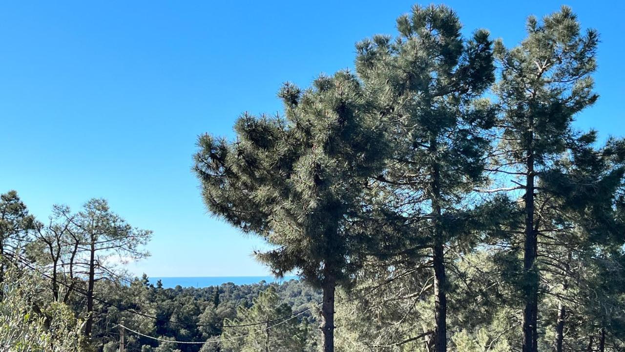 Paradise Lloret Pensión