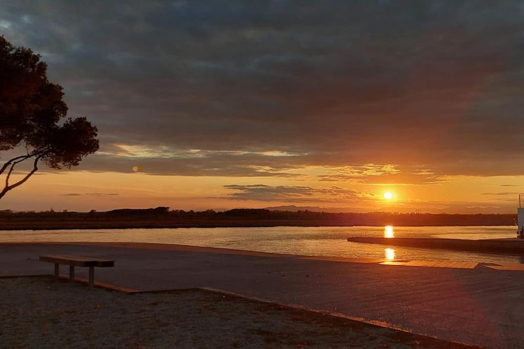 Sunsetmare Vacational * Rosas