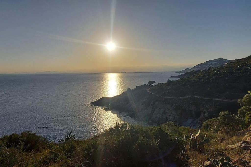 Sunsetmare Vacational *