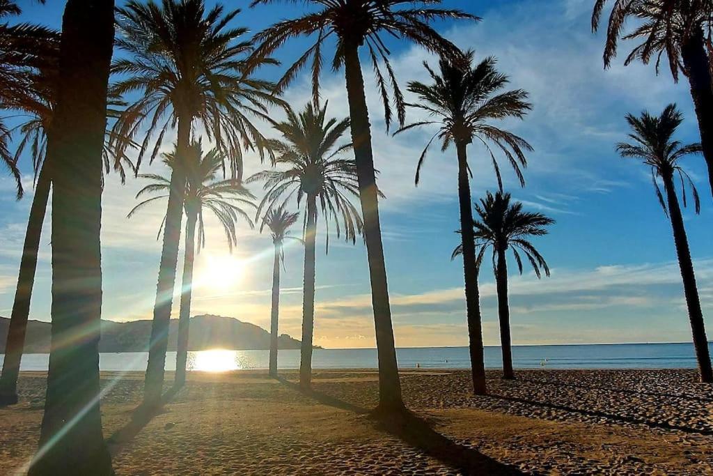 Sunsetmare Vacational *