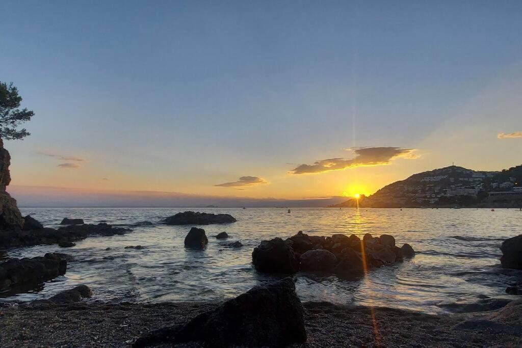 Sunsetmare Vacational *