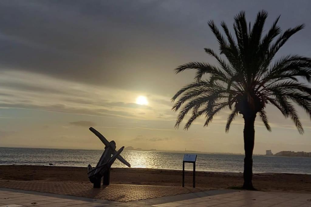 Sunsetmare Vacational * Rosas
