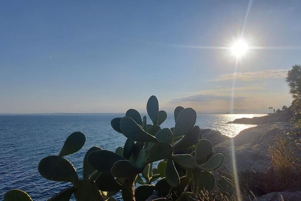 Sunsetmare Vacational
