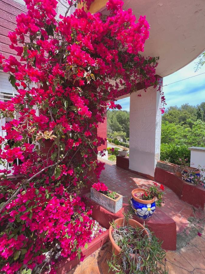 Famara Apartment Lloret de Mar