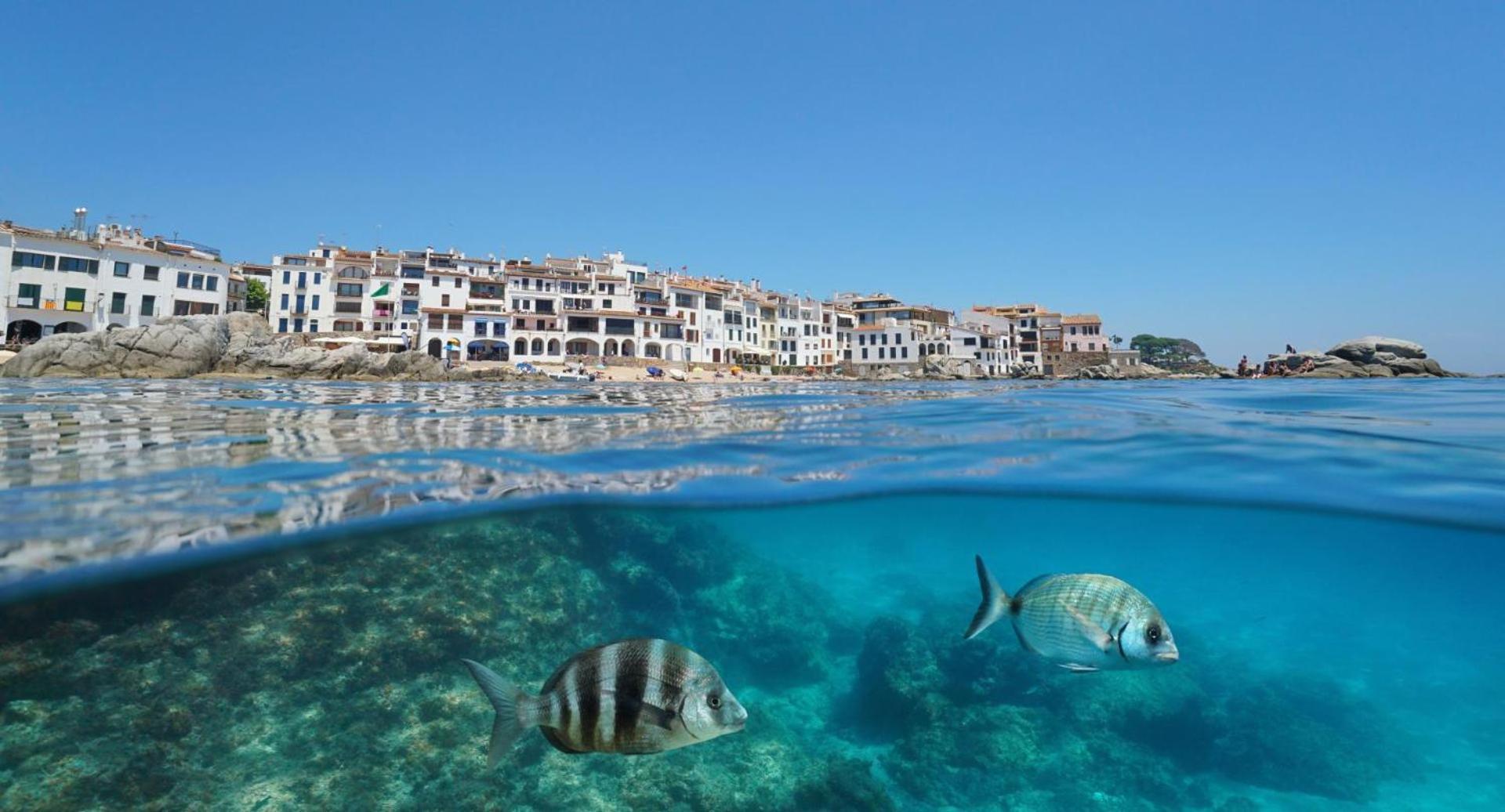 Recien Reformado A 300 Metros Del Mar * Calella De Palafrugell