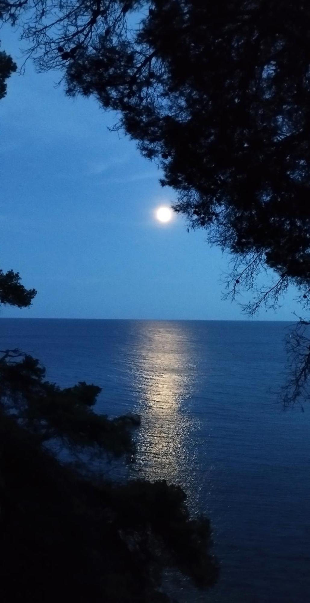 Recien Reformado A 300 Metros Del Mar * Calella De Palafrugell