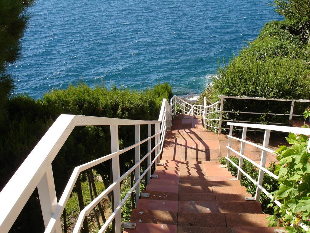 Belvedere