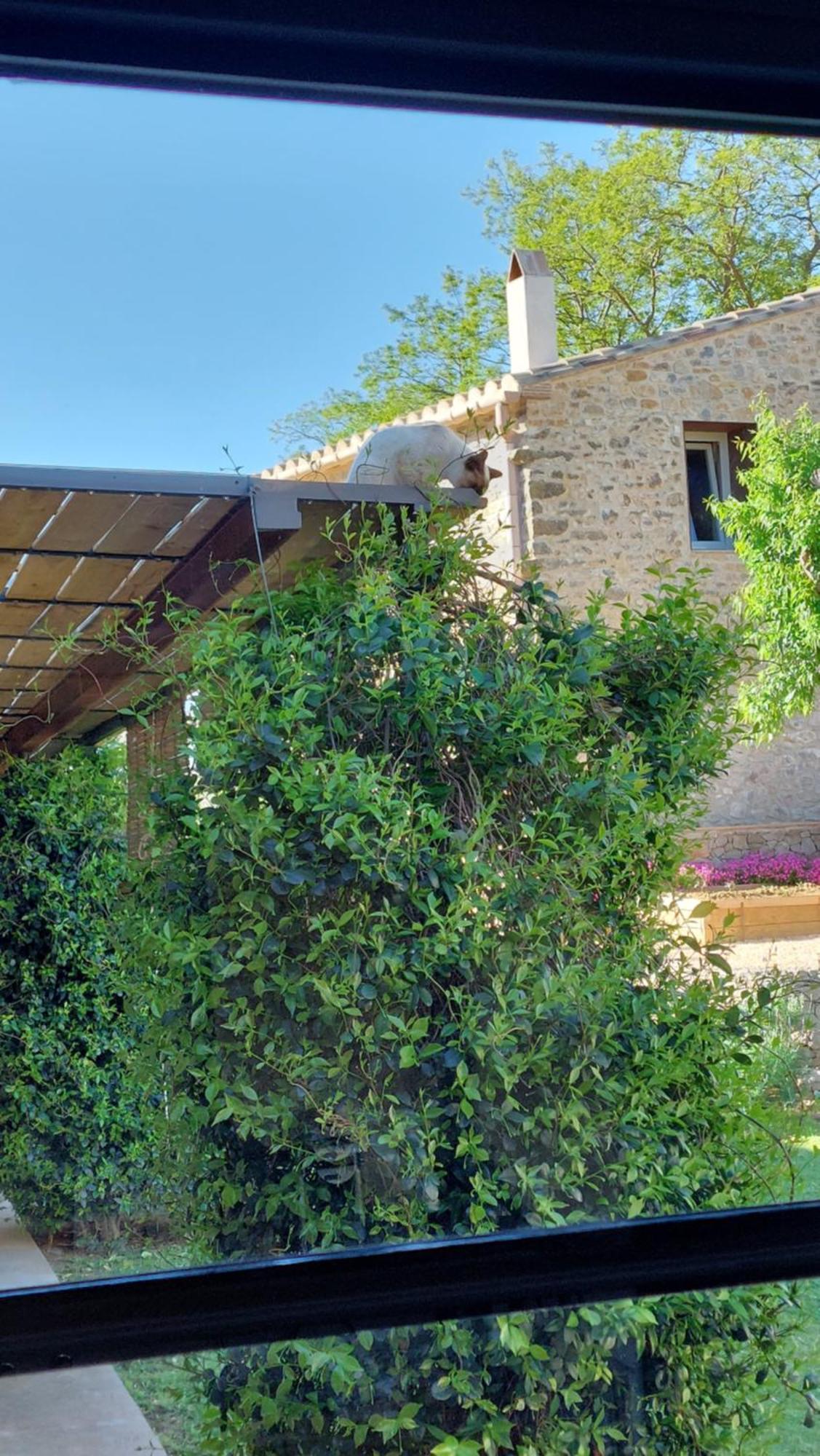 Mas Ferran Adults Only Bed and breakfast 4*