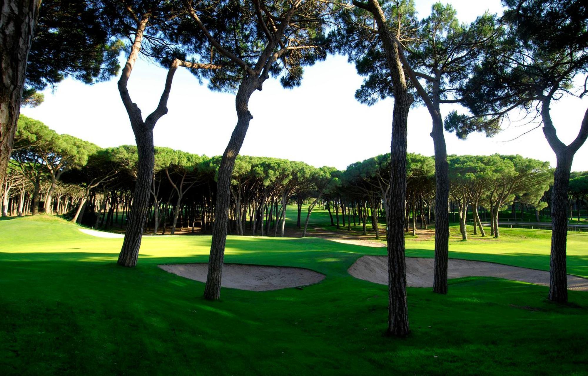 Hotel La Costa Golf & 4*