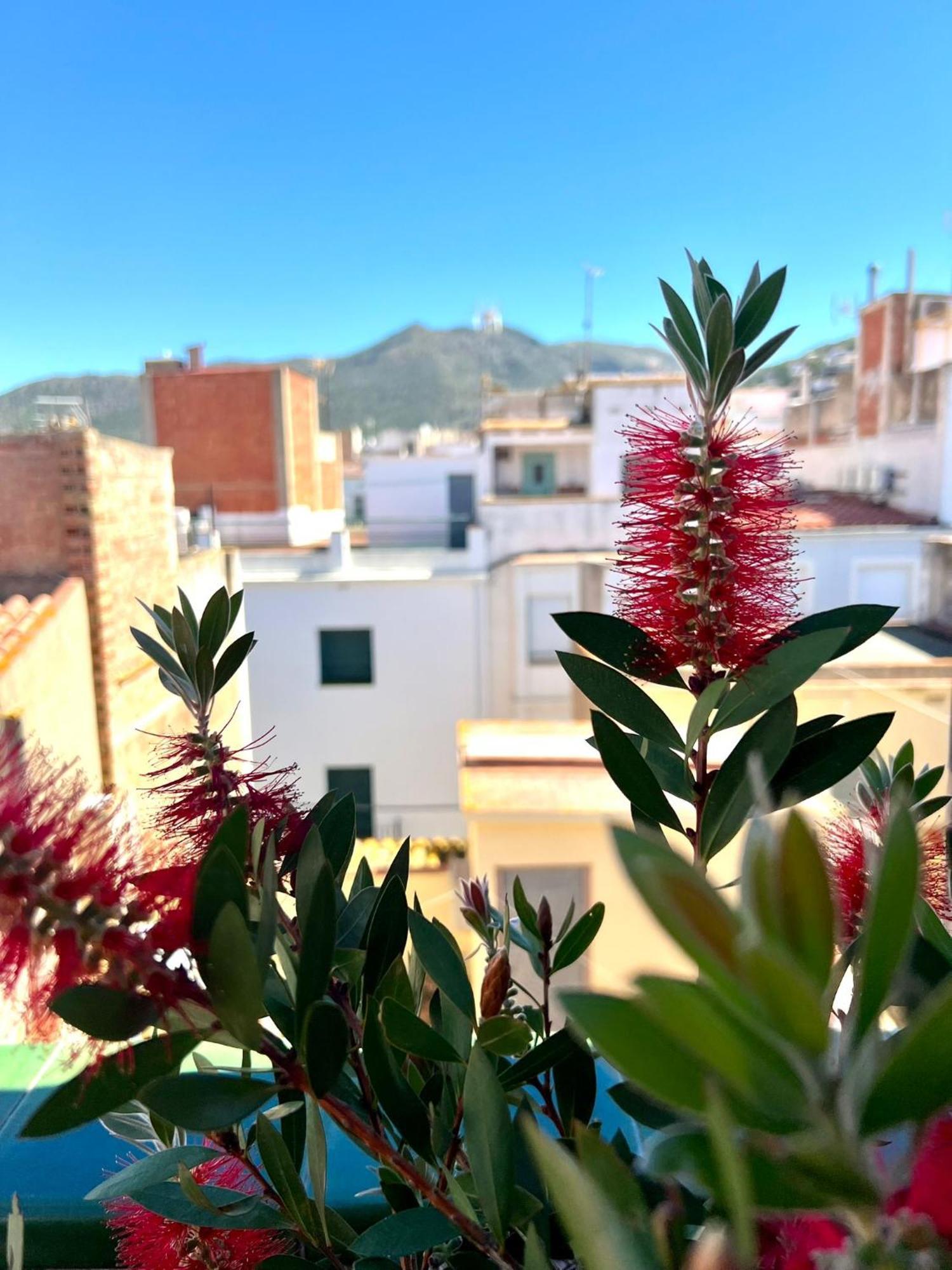 Pensión Escondite Con Terraza Compartida En La Azotea