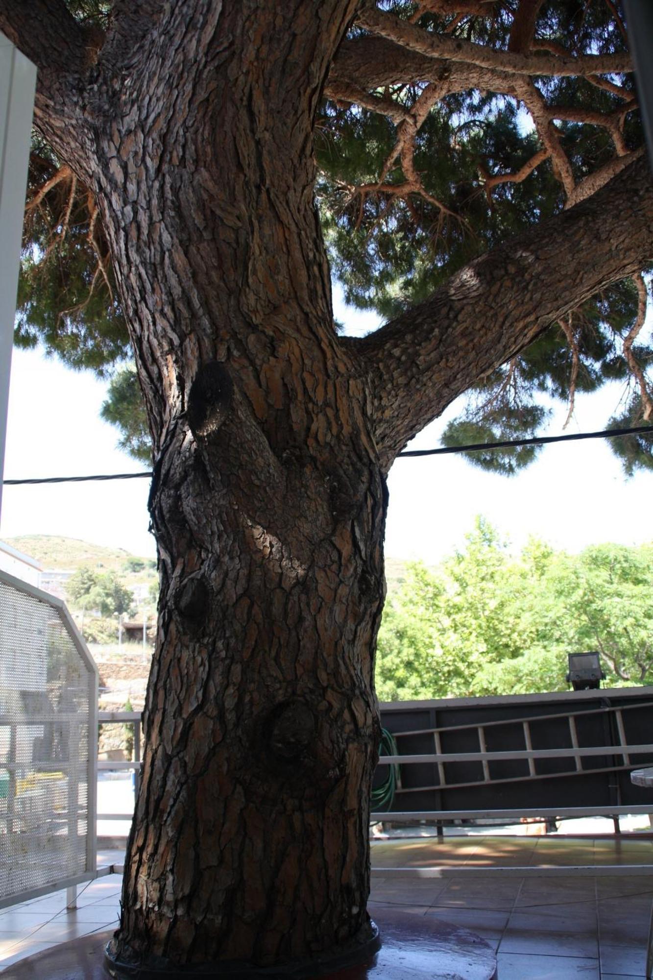 La Masia * Portbou