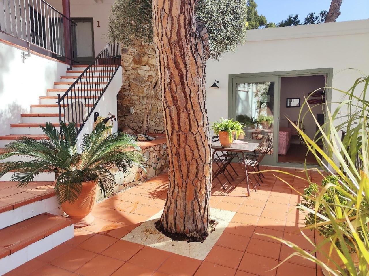 T2 - Sunny Duplex With Garden 50m From Apartamento *
