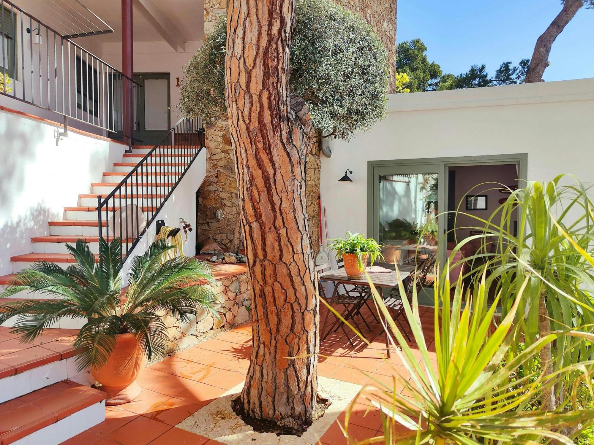 T2 - Sunny Duplex With Garden 50m From Apartamento Tamariu