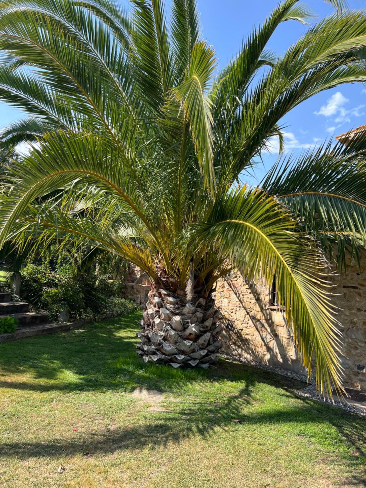 Figueretes Holiday home Caldes de Malavella