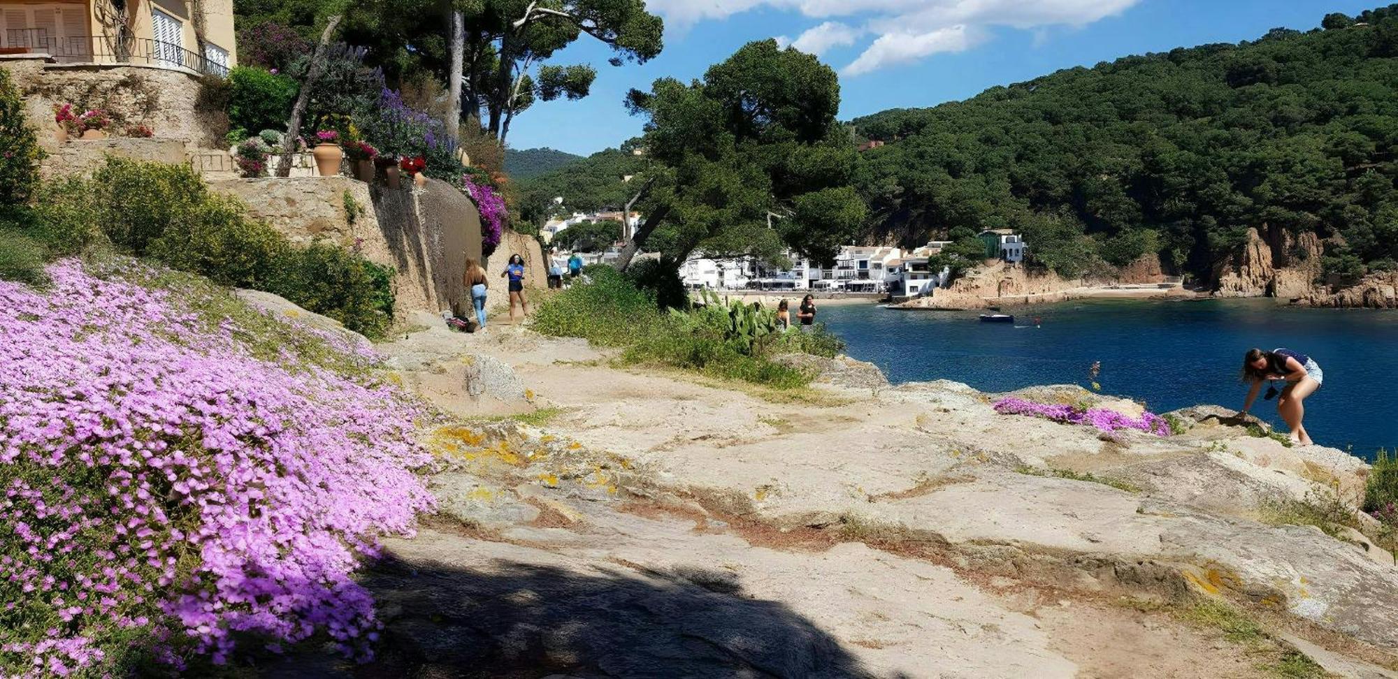 T2 - Sunny Duplex With Garden 50m From Apartamento *