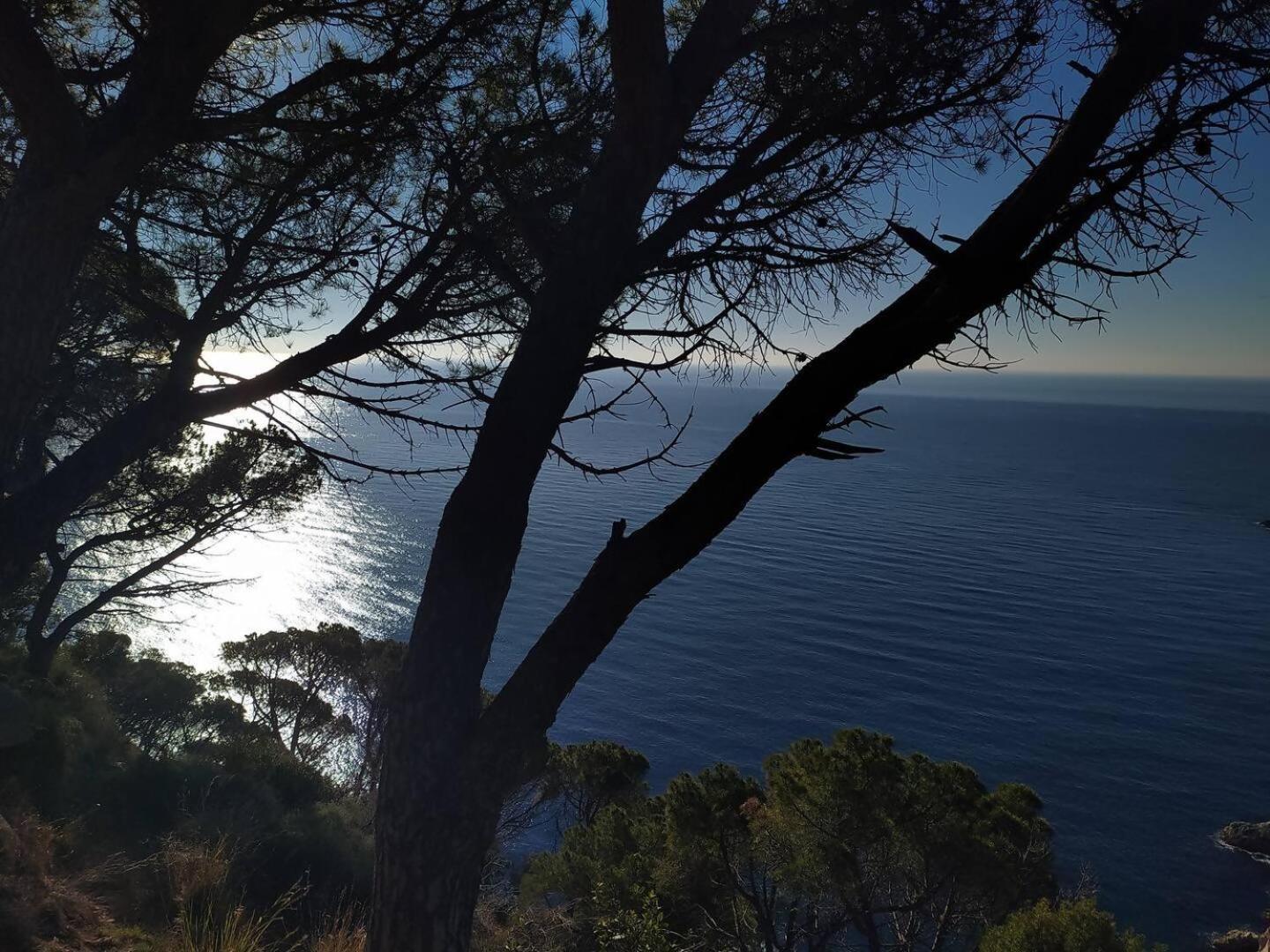 Xalana Con Terraza Y Magnificas Vistas Al Mar * Gerona