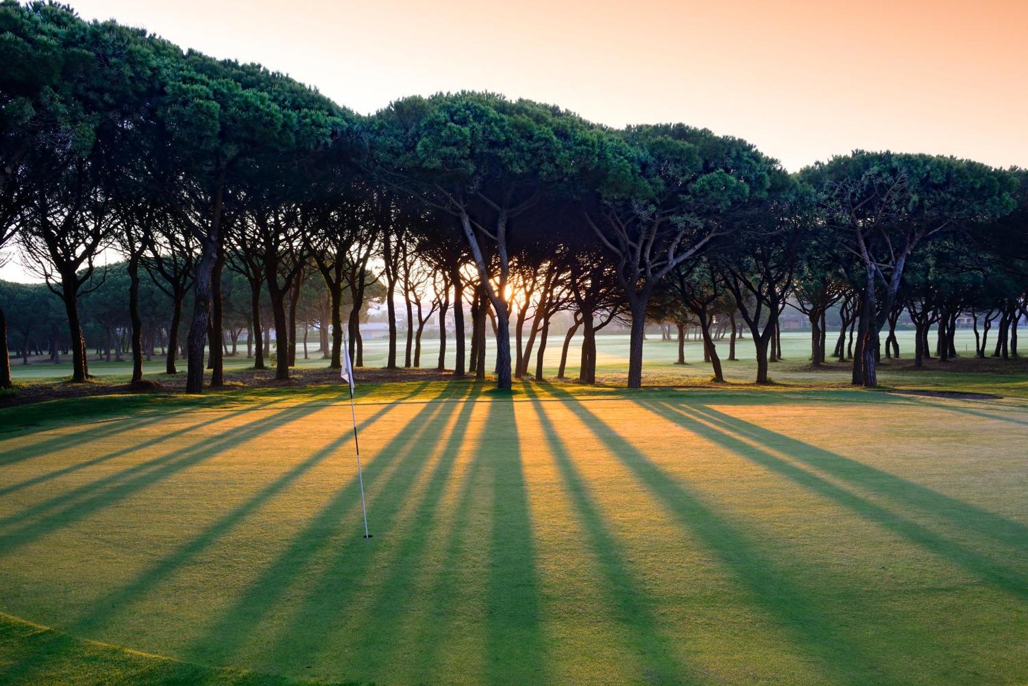 En Golf Platja De *