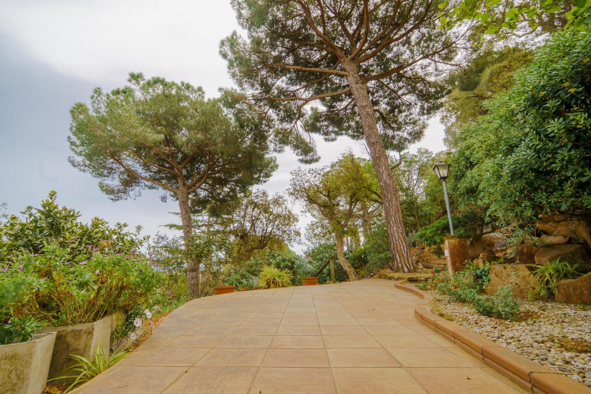 In Tossa de Mar