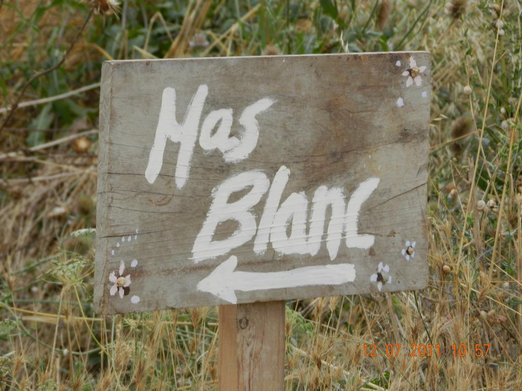 Mas Blanc Holiday home *
