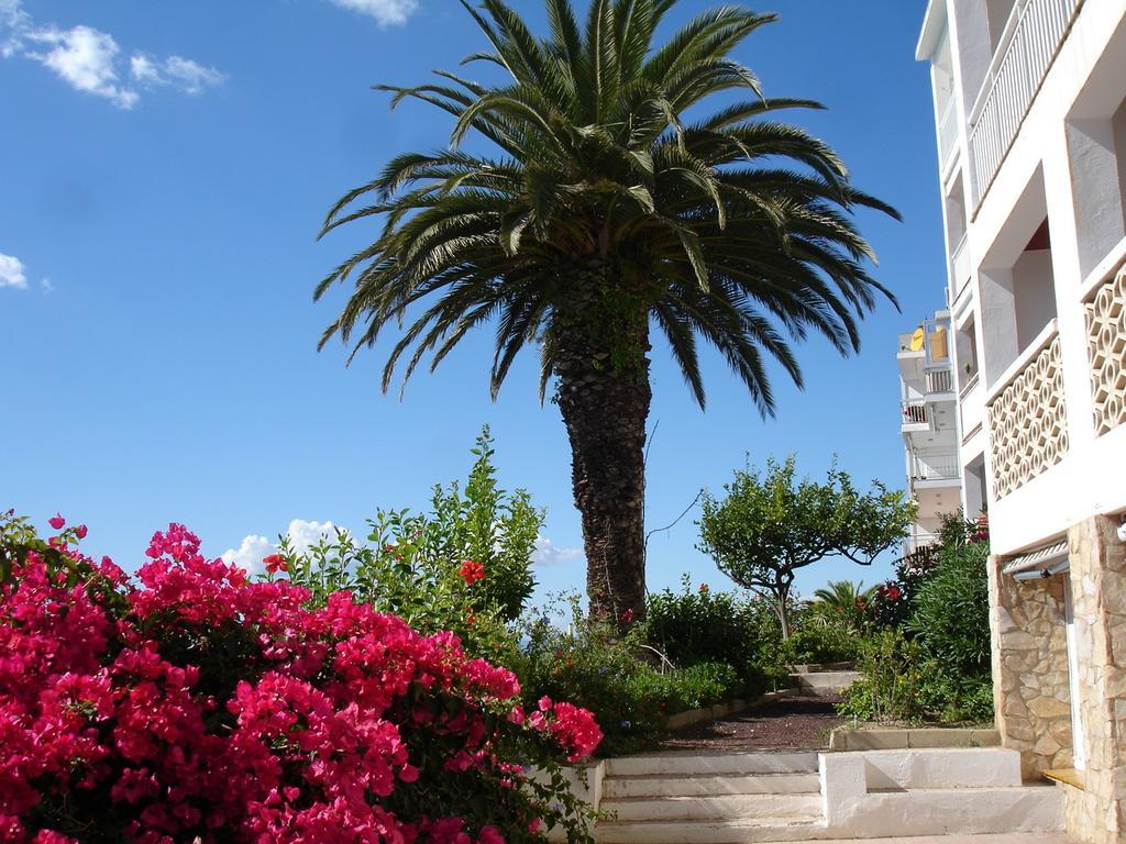 Belvedere Rosas