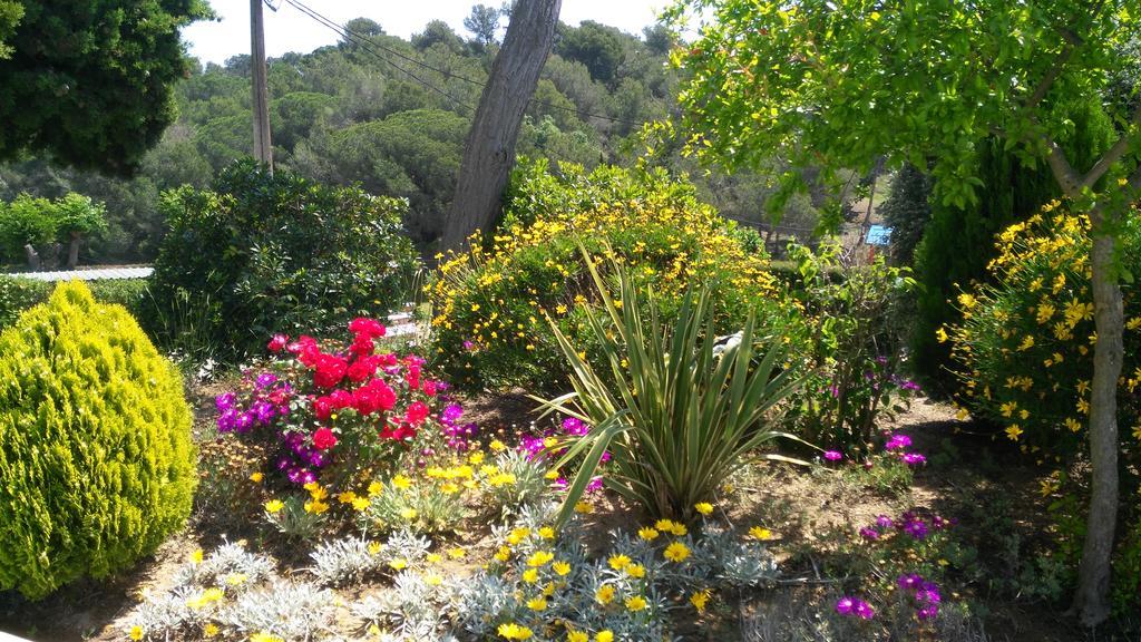 Apartment Famara Lloret de Mar