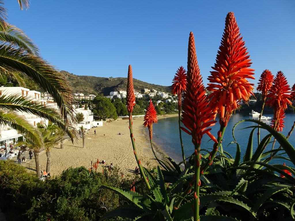 Apartamento Belvedere