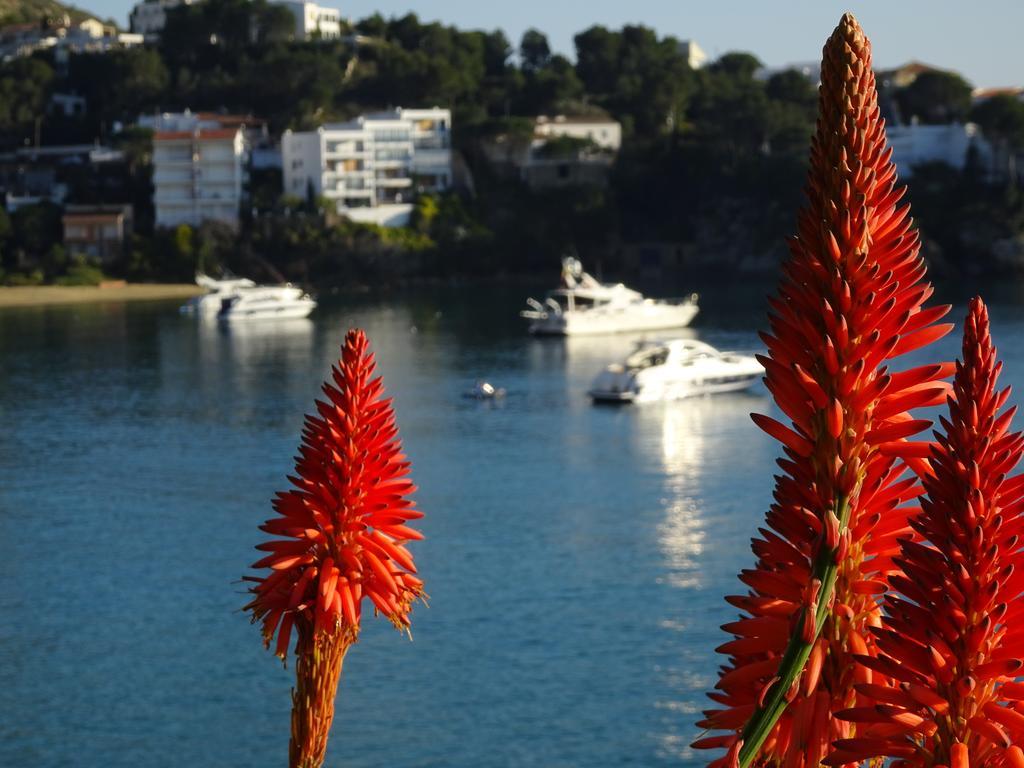 Belvedere * Rosas