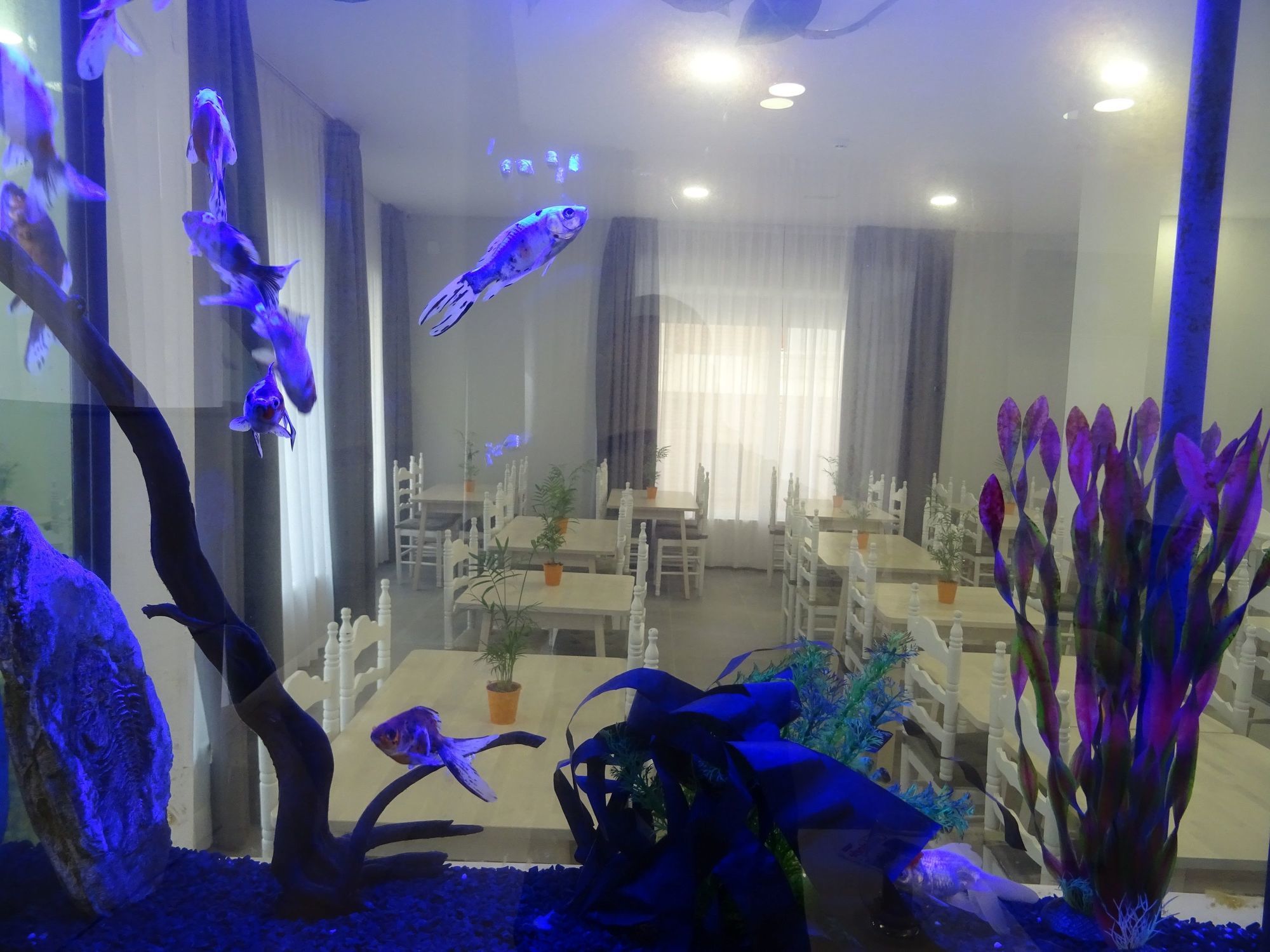 Victoria - Lloret Hotel Lloret de Mar