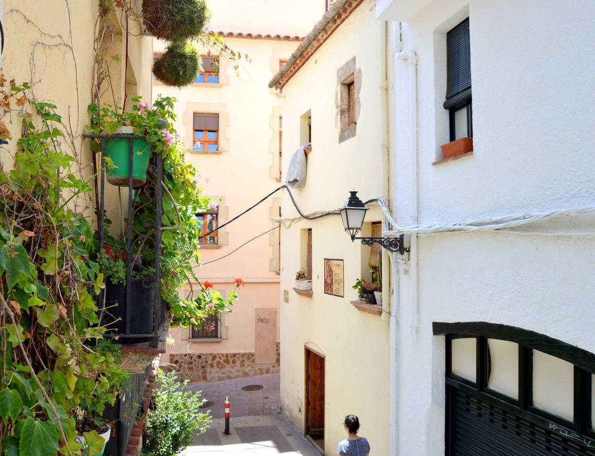 Charming Loft - Historical Center Apartment