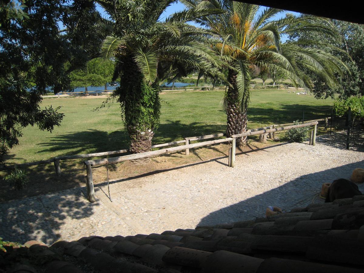 Country house Yeguada Senillosa - Turismo Rural Castello  D'Empuries