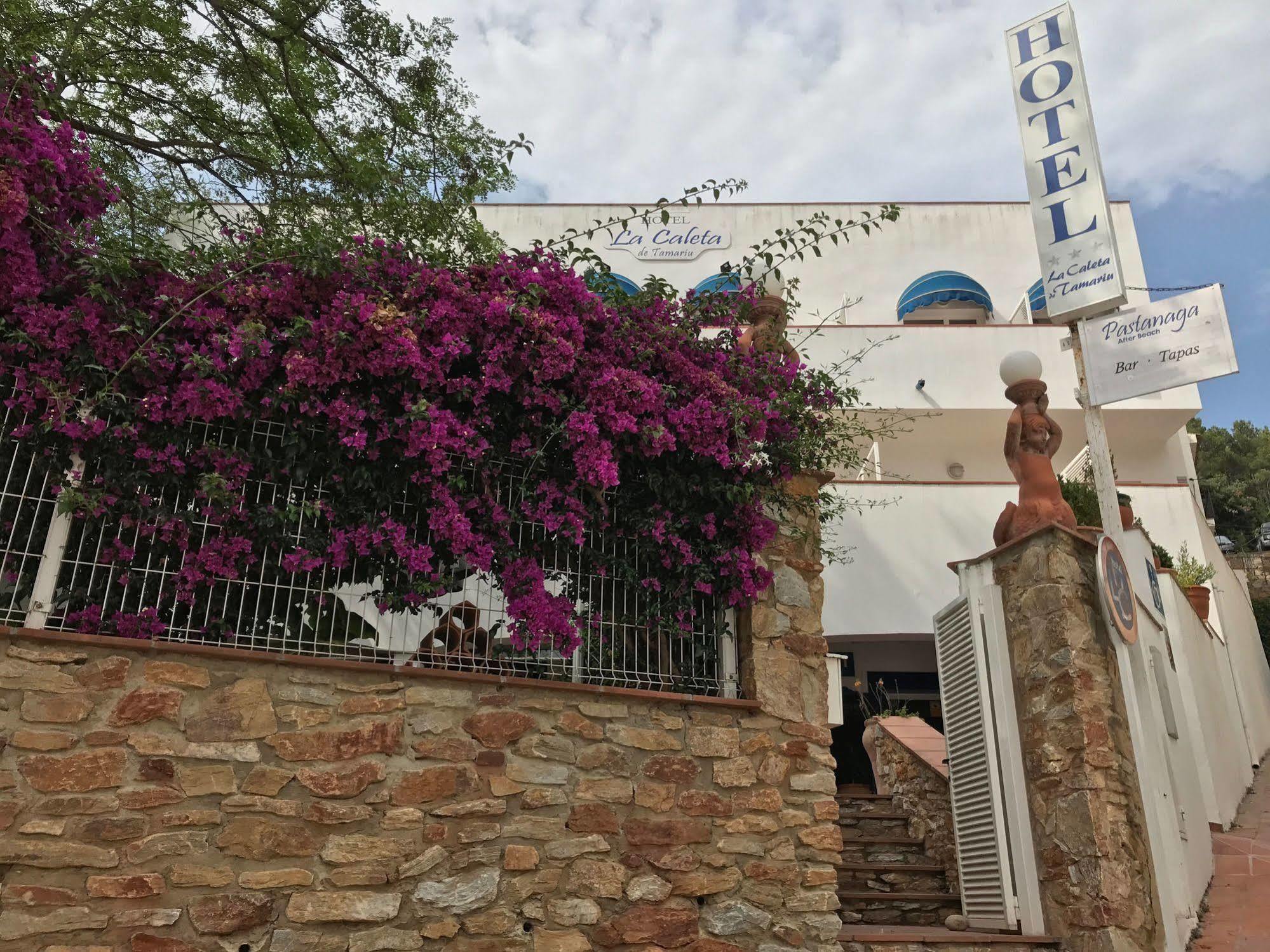 La Caleta De Hotel 3*