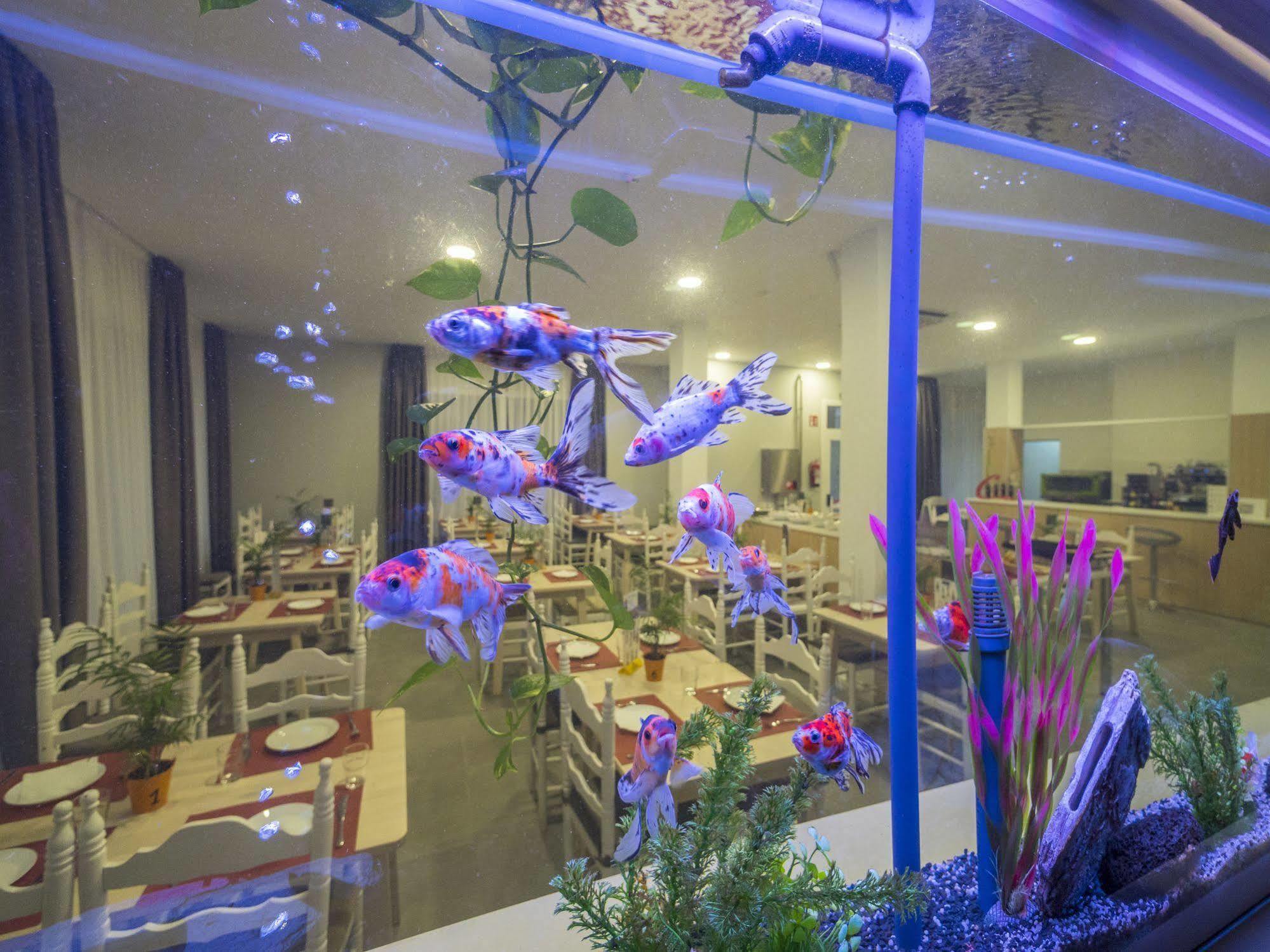 Hotel Victoria - Lloret