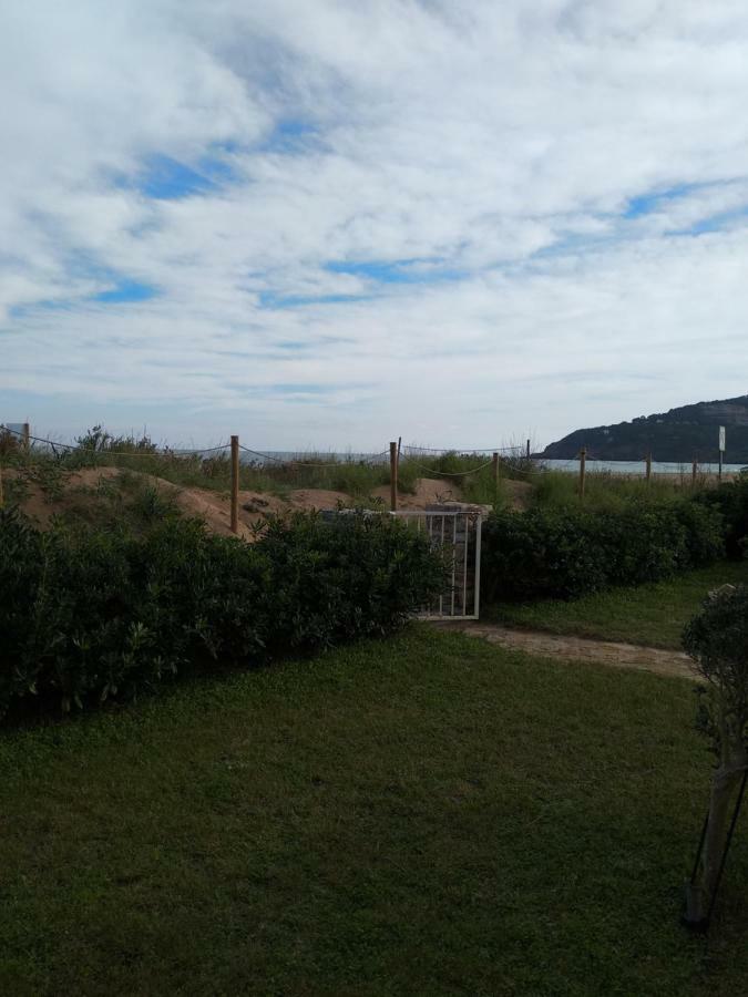 Apartment Sea Front In Platja With Terrace And Parking Pals