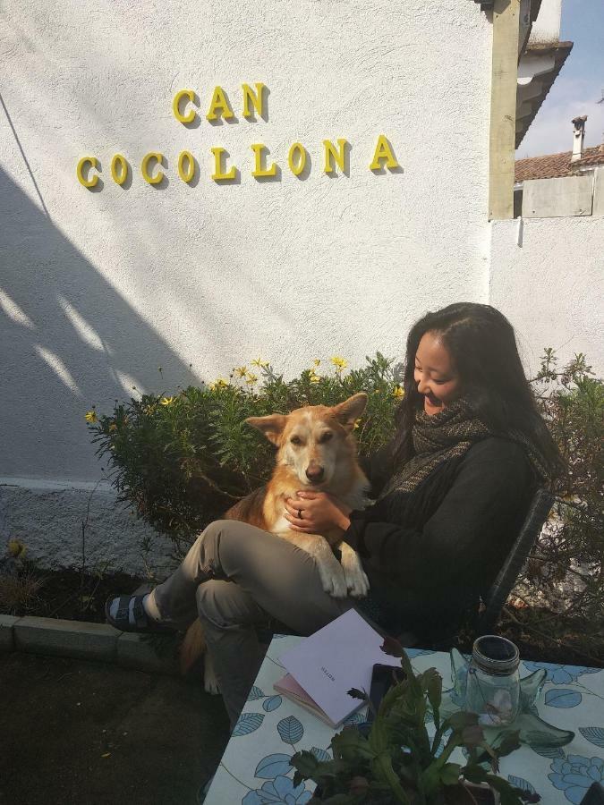 Cocollona *