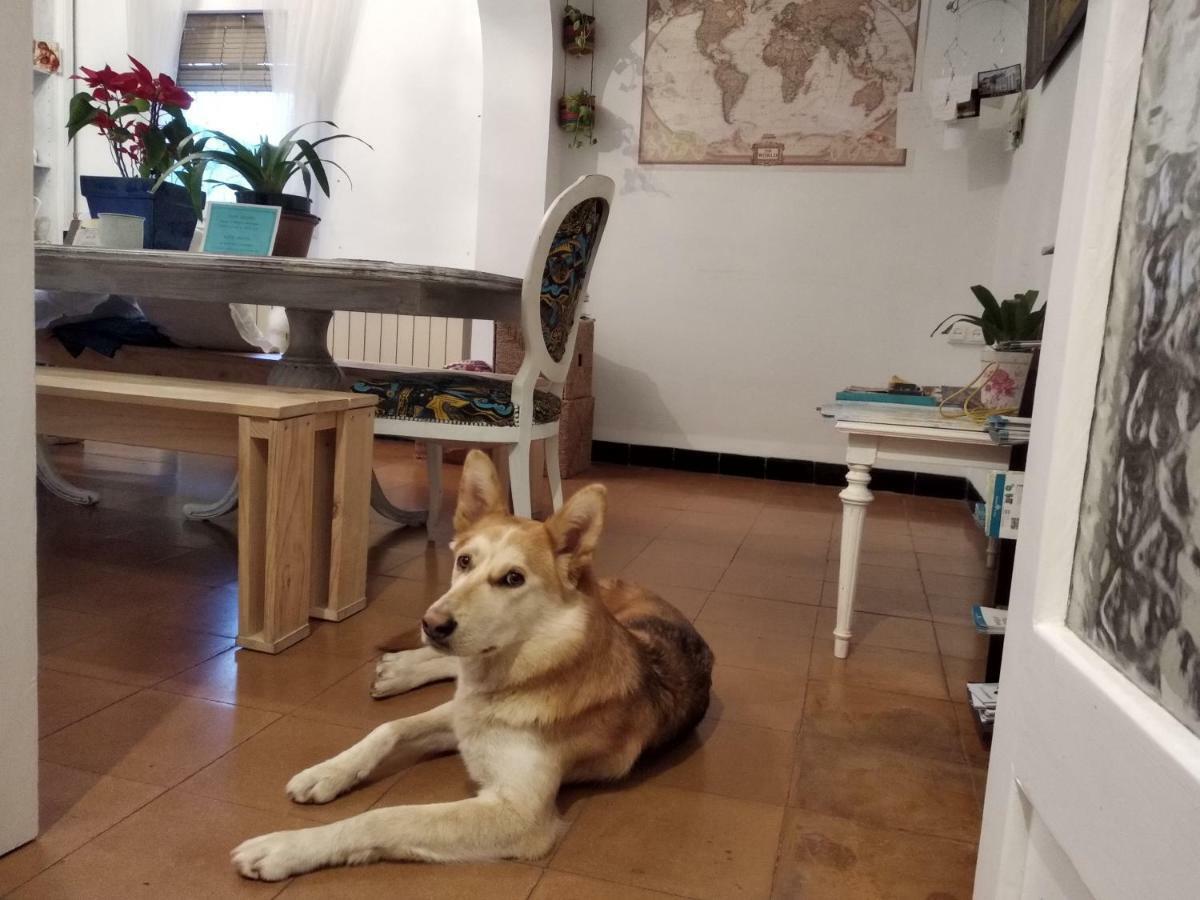 Cocollona Hostel