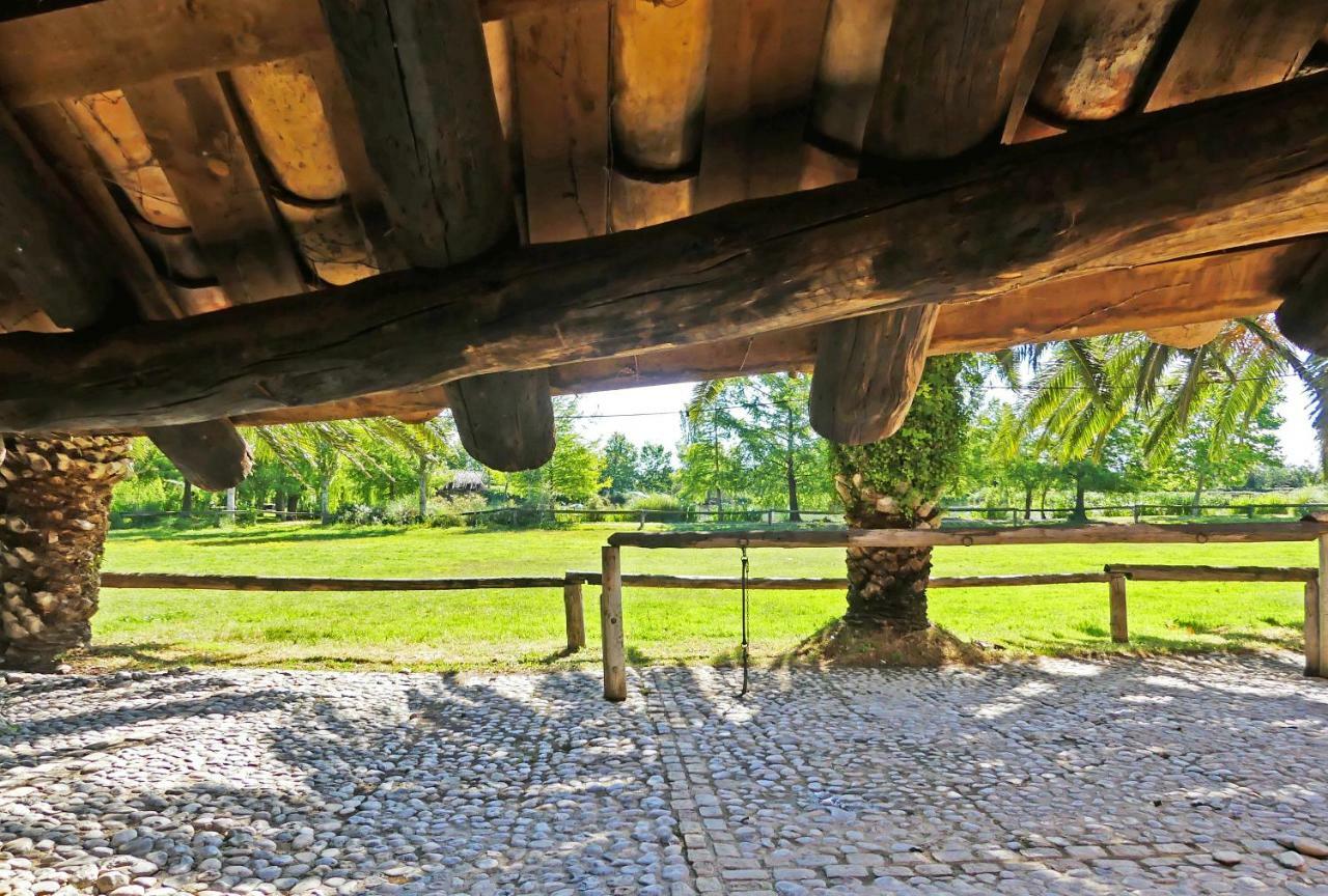 Yeguada Senillosa - Turismo Rural