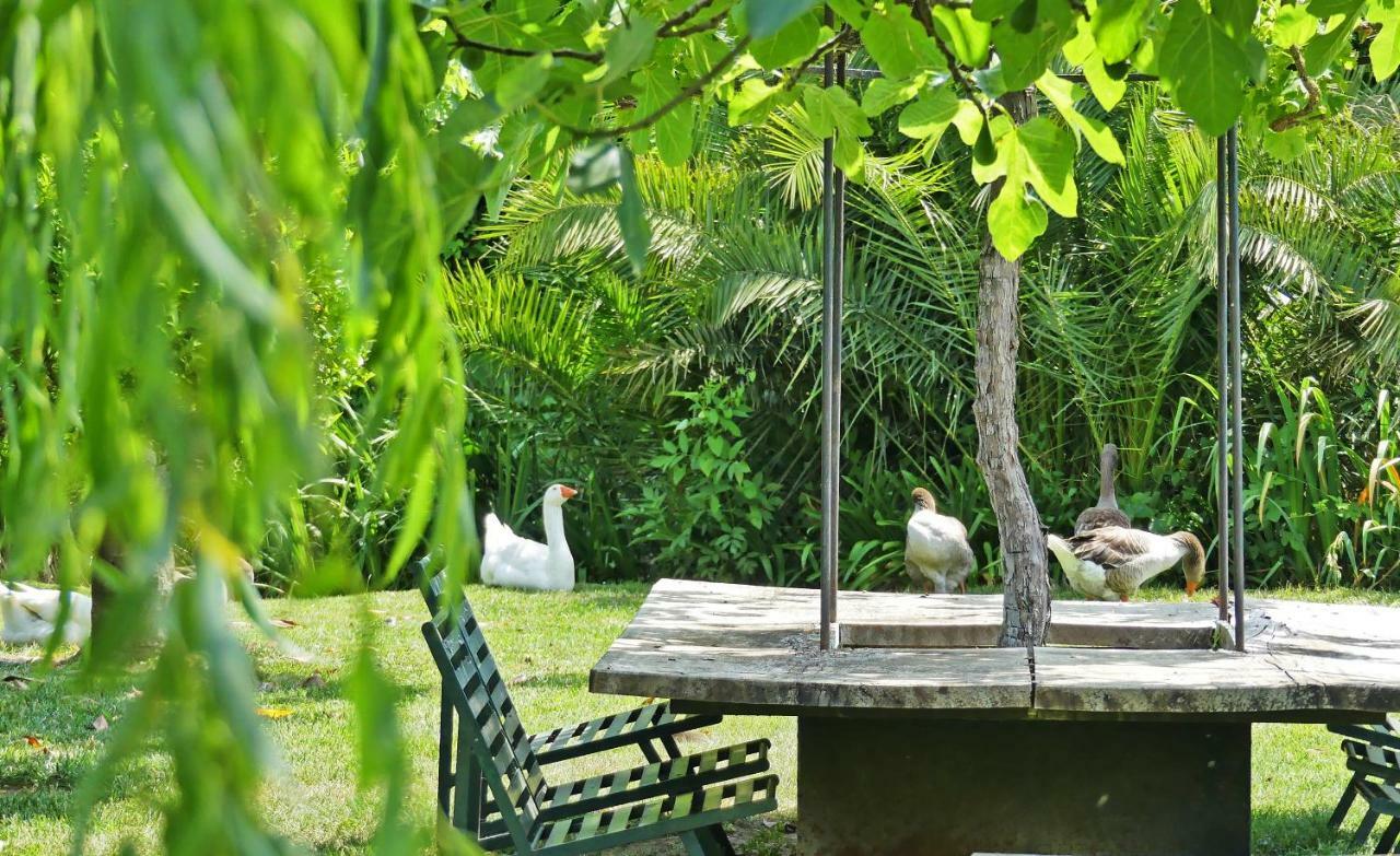 Country house Yeguada Senillosa - Turismo Rural
