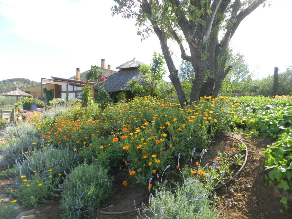 Mas Blanc Holiday home Ullastret