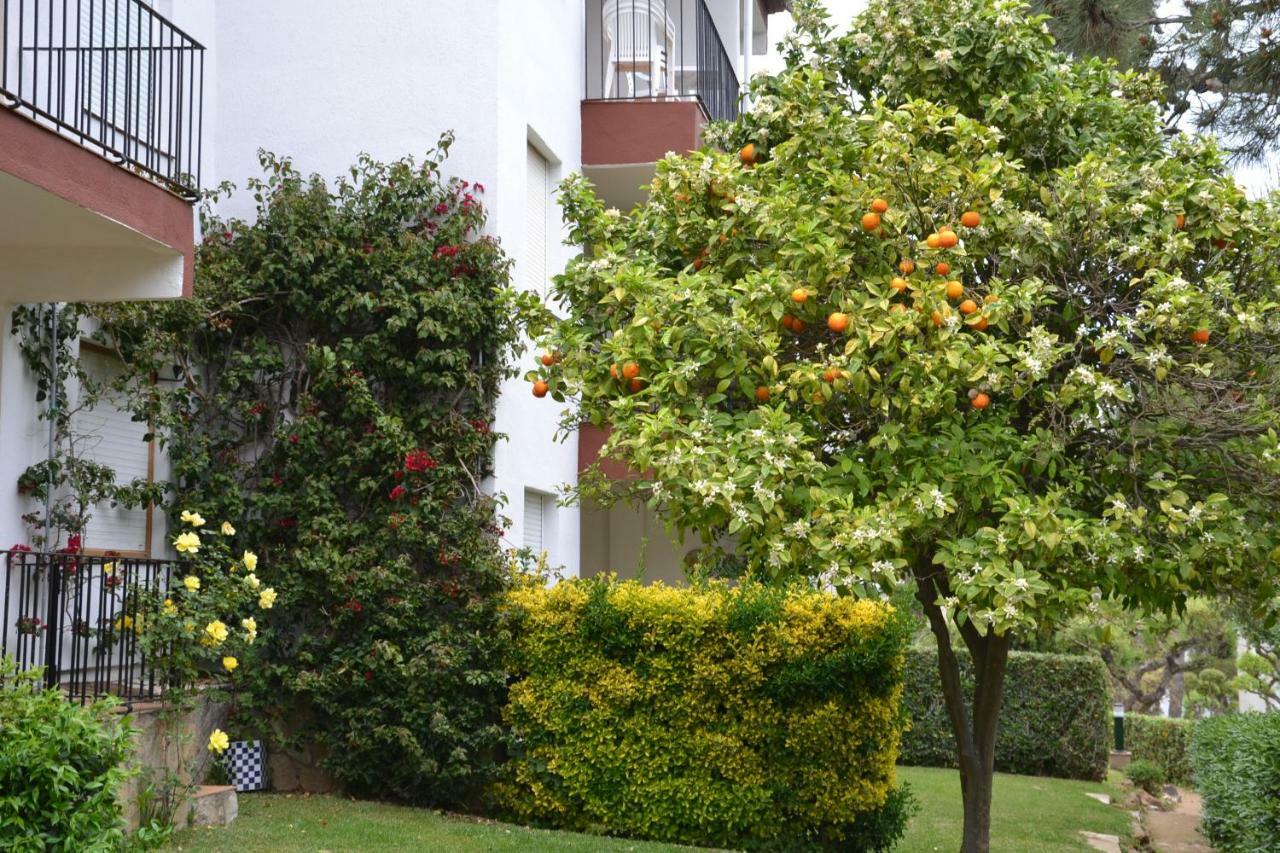 Apartamento Recien Reformado A 300 Metros Del Mar *