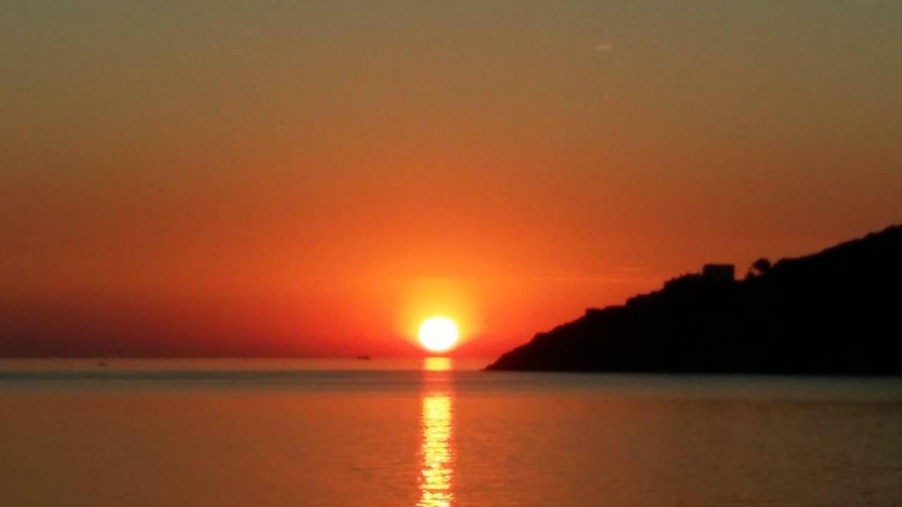 Apartamento Carpe Diem Port De La Selva *