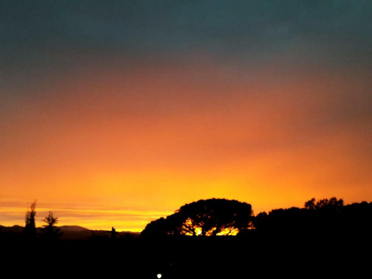 Bed and breakfast Lamusana (adults Only) Bell-Lloc (Girona)