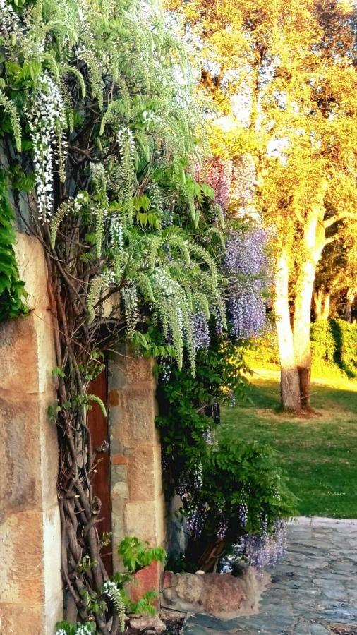 Bed and breakfast Lamusana (adults Only) Bell-Lloc (Girona)