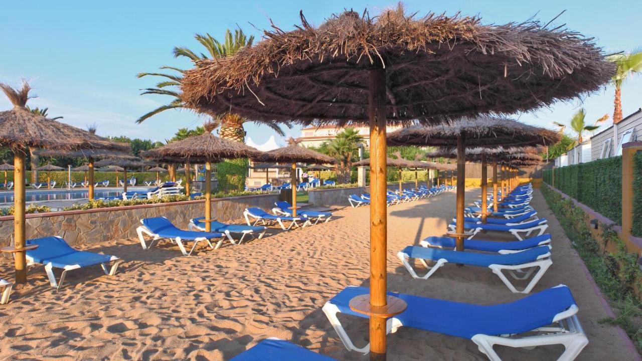 Glamping Campo de lujo Blanes
