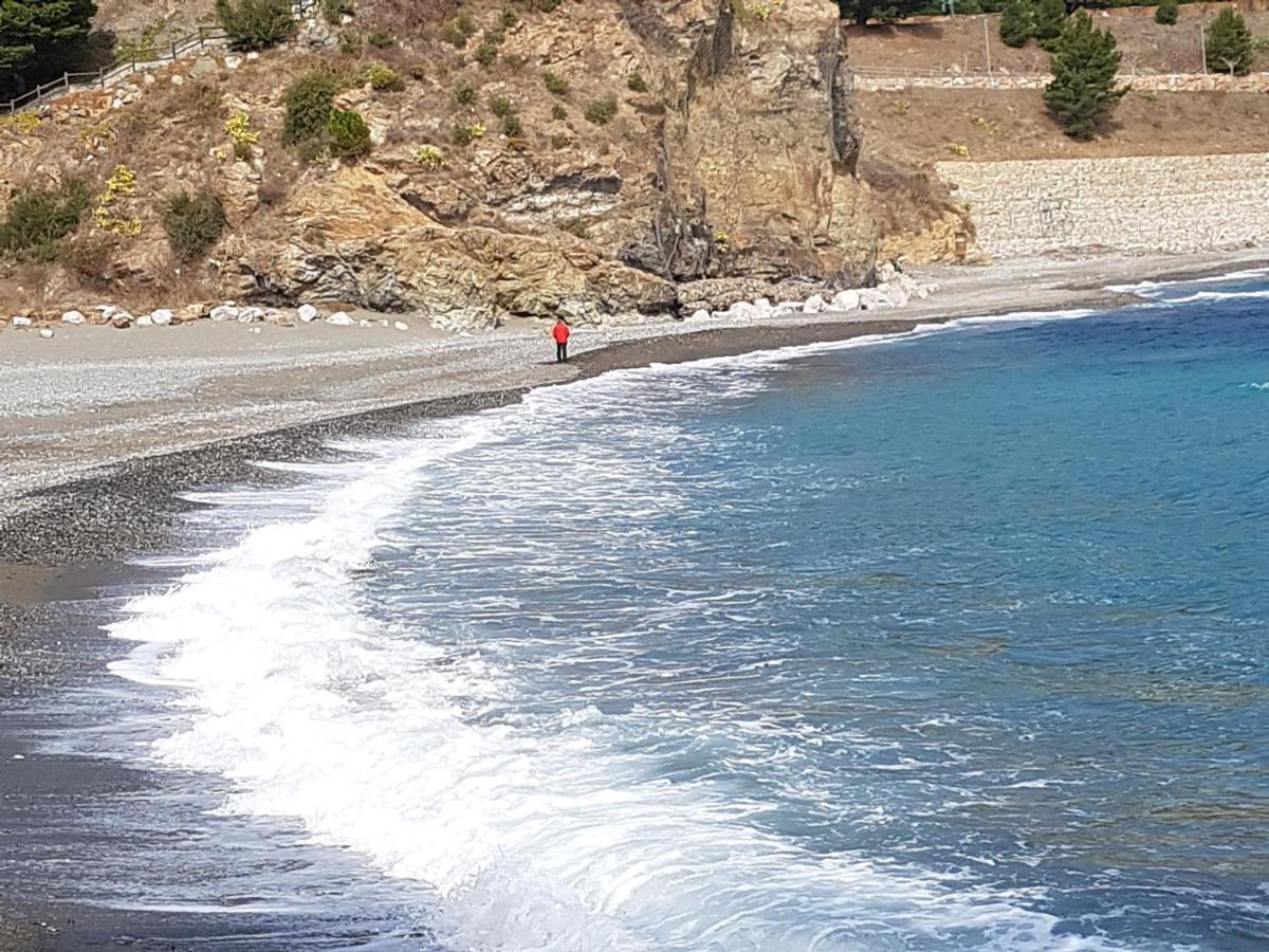 Apartament Port * Colera