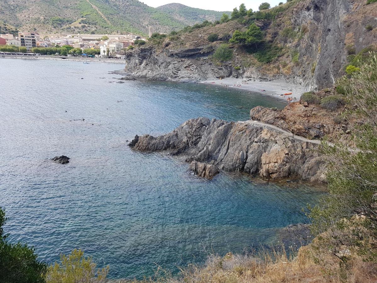 Apartament Port * Colera